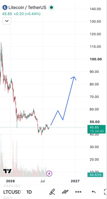 A TradingView chart of Litecoin / TetherUS on the daily timeframe, showing a recent price of 45.65 and hand-drawn blue arrows projecting a sharp upward trajectory.