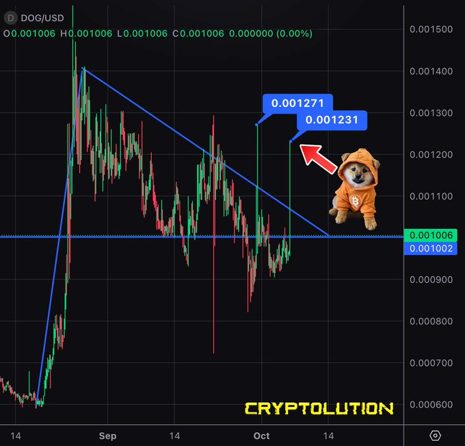 A cryptocurrency price chart for DOG/USD showing a downward trend with a descending trendline, price targets marked at 0.001271 and 0.001231, and an image of a Shiba Inu dog wearing an orange hoodie; watermark reads "CRYPTOLUTION".