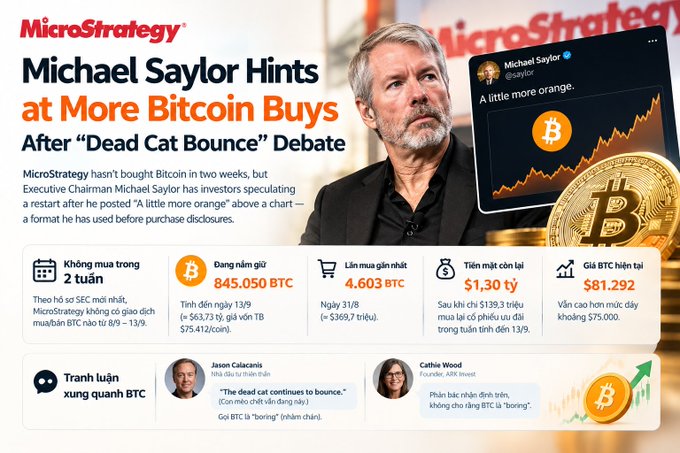 A news graphic about MicroStrategy states 'Michael Saylor Hints at More Bitcoin Buys' and includes a chart labeled 'A little more orange,' with statistics showing BTC holdings and an analyst debate section.