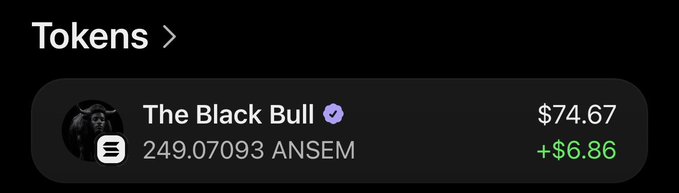 A cryptocurrency wallet screenshot showing a token called "The Black Bull" with a balance of 249.07093 ANSEM, valued at $74.67, showing a gain of +$6.86.
