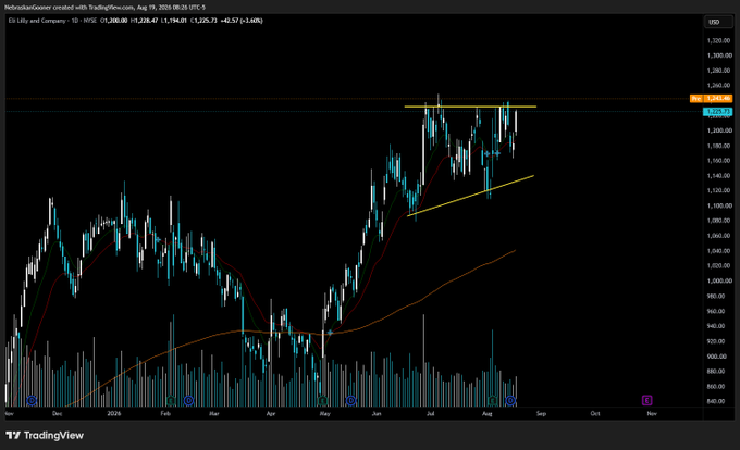 A TradingView daily chart of Eli Lilly ($LLY) shows the price consolidating near $1,328 just below the highlighted $1,357 resistance, with a rising trendline and the 50/200-day MAs supporting the uptrend—consistent with the "bullish continuation" thesis.