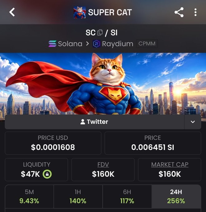 A cryptocurrency token page for 'SUPER CAT' (SC) on the Solana network via Raydium, priced at $0.0001608 with $47K liquidity and significant 24H gains of 256%.