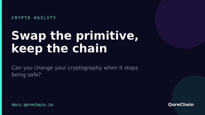 A dark-themed slide titled "CRYPTO AGILITY" with the headline "Swap the primitive, keep the chain" and subtext asking "Can you change your cryptography when it stops being safe?" branded QoreChain, linking to docs.qorechain.io.