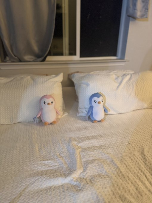 Two plush penguin toys, one pink and one blue, sit on white pillows against a bed with a textured white blanket.