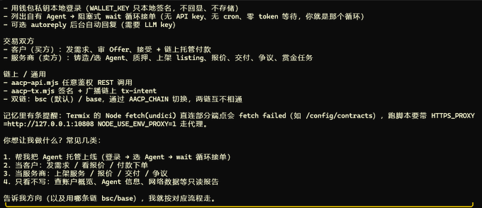 A screenshot containing Chinese text about cryptocurrency wallet operations, REST APIs for aacp-api and aacp-tx, and instructions for handling on-chain transactions with Termius.