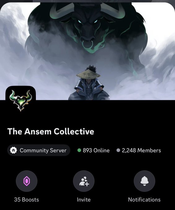 A Discord server profile titled 'The Ansem Collective' shows 893 online members out of 2,248 total, with anime artwork of a character facing a shadowy beast above the details.