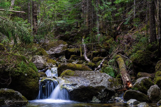 A long-exposure photograph captures a small waterfall cascading over moss-covered rocks in a dense forest, with a photographer's signature 'Len Bohlman' visible in the corner.