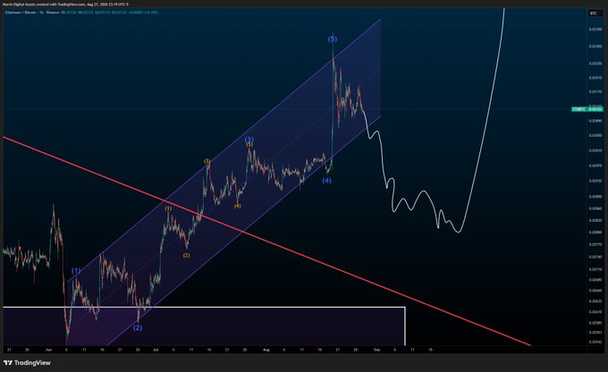 A TradingView chart of the NEAR/USDT pair with a 4-hour timeframe, dated August 17, 2024, displays Elliott Wave analysis with numbered waves (1) through (5) within a blue ascending channel, alongside a red descending trendline and a white projected path suggesting a corrective move downward before a potential rally.