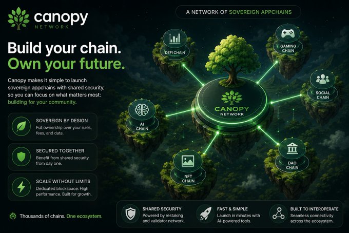 The image features a poster or flyer promoting a new type of Web3 network called Canopy Network Protocol (CANOPY). The text on the poster highlights that this new network may not be built on one giant blockchain, but rather on multiple specialized chains tailored for specific use cases and communities. This approach allows for greater customization and efficiency in building and maintaining the network infrastructure.