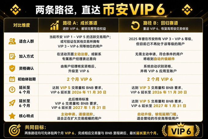 A Chinese-language promotional graphic titled '两条路径, 直达币安VIP 6' (Two paths to reach Binance VIP 6), comparing 'Path A: Growth Path' and 'Path B: Return Path' with a detailed comparison table for VIP upgrades.