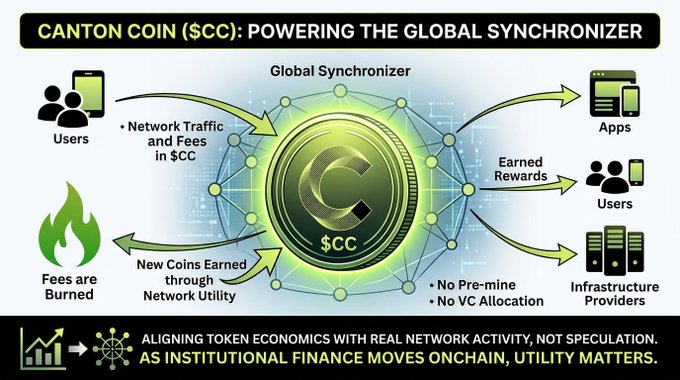 Infographic titled 'CANTON COIN ($CC): POWERING THE GLOBAL SYNCHRONIZER' showing a circular flow where users pay network traffic and fees in $CC, fees are burned, and new coins are earned through network utility to apps, users, and infrastructure providers, with no pre-mine and no VC allocation.