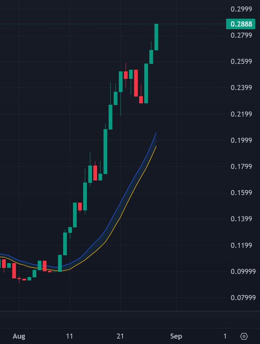 A candlestick chart shows the price of TIBBIR surging from around 0.09 to 0.2888 between early August and early September, with the highlighted level of 0.2888 marked prominently on the right axis—illustrating the aggressive buying pressure referenced in the post about TIBBIR's accumulation despite "Jackson and his hole" presumably being a nearby price resistance or overhead supply.