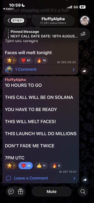A screenshot of a Telegram channel for 'FluffyAlpha' (17,381 subscribers) displays pinned messages including 'NEXT CALL DATE: 18TH AUGUS...' and hyped posts about a Solana launch at '7PM UTC'.