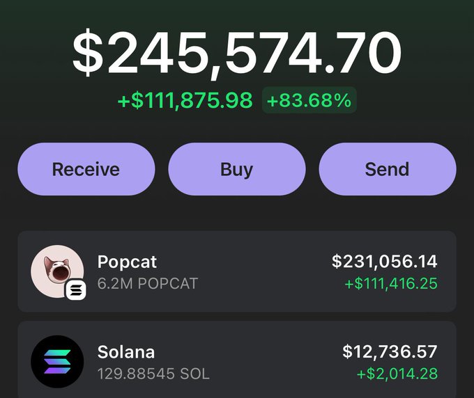 A crypto portfolio screenshot showing a total balance of $245,574.70, featuring holdings in Popcat ($POPCAT) at $231,056.14 and Solana ($SOL) at $12,736.57. The image aligns with the post by showcasing significant gains on POPCAT (+$111,416.25), supporting the author's claim of profitable crypto calls and lending credibility to their latest recommendation to buy $MEMECARDS.
