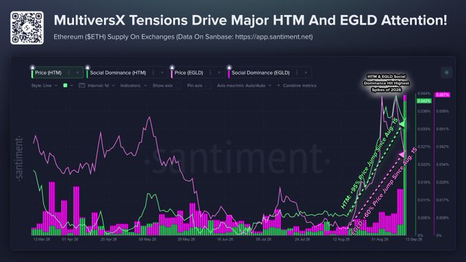 A Santiment chart titled "MultiversX Tensions Drive Major HTM And EGLD Attention!" displays Price and Social Dominance data for $HTM and $EGLD from March to September, showing both tokens hitting year-to-date highs (HTM Price jumping ~63% and EGLD Price jumping ~16%) on September 3, 2024, with annotations highlighting the surge in social dominance. The chart visually supports the post's claim that $HTM and $EGLD social dominance spiked following the Hatom borrowing incident and paused MEX/wEGLD market on MultiversX.
