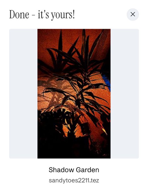 A mobile app screenshot titled 'Done - it's yours!' displays an image of plant shadows cast on a textured orange wall, labeled 'Shadow Garden' by 'sandytoes2211.tez'.