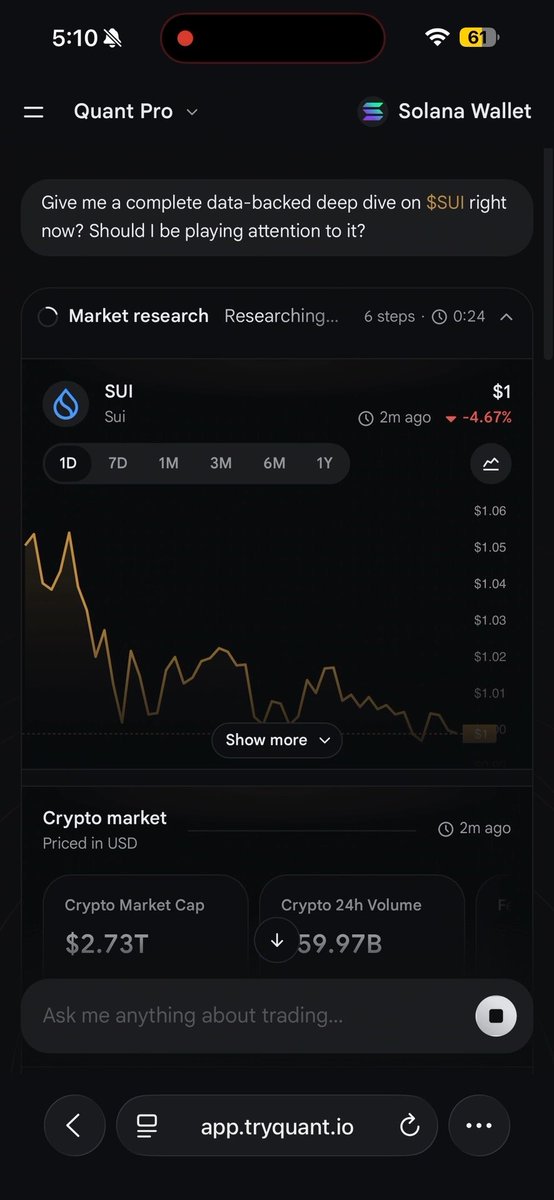 A screenshot of the Quant Pro app on Solana Wallet showing a market research query for $SUI with a price chart at $1, down 4.67%, and crypto market data.