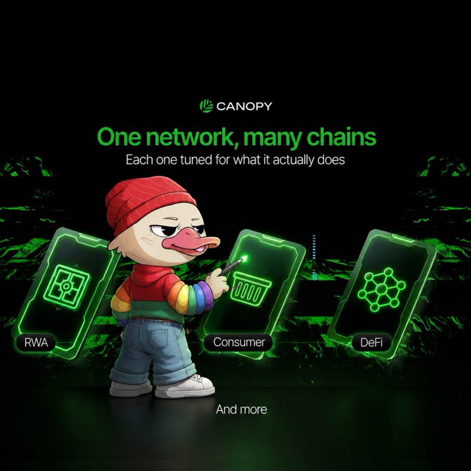 A promotional graphic for Canopy blockchain featuring a cartoon duck-like character in a red beanie standing between three glowing green panels labeled RWA, Consumer, and DeFi, with the headline 'One network, many chains - Each one tuned for what it actually does' and 'And more' at the bottom.
