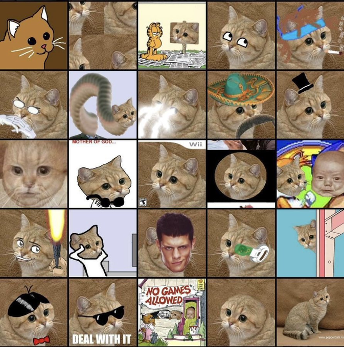 A collage of cat meme images featuring various edited pictures of cats with cartoon elements, hats, sunglasses, and humorous overlays including 'MOTHER OF GOD', 'Wii', 'DEAL WITH IT', and 'NO GAMES ALLOWED' text.