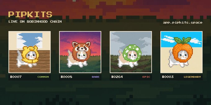 A promotional graphic for 'PIPKITS' on the Robinhood Chain (app.pipkits.space), displaying four pixel-art NFTs with different rarities: Common (lion, #10007), Rare (red panda, #10008), Epic (green hood, #10264), and Legendary (orange, #10003).