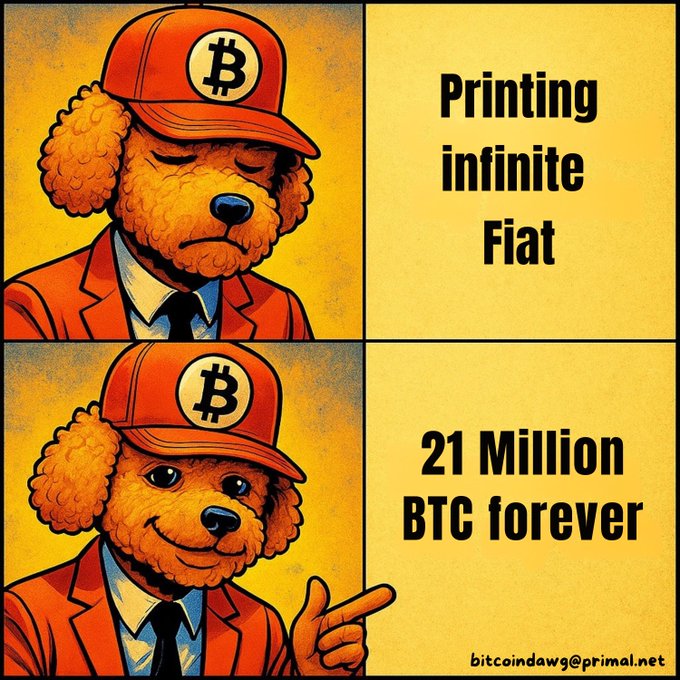A two-panel meme featuring an orange dog mascot in a Bitcoin cap; the top panel reads 'Printing infinite Fiat' and the bottom '21 Million BTC forever,' watermarked bitcoindawg@primal.net.