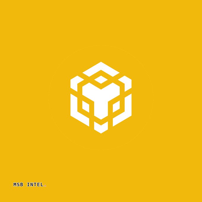 A geometric white cube logo centered on a yellow background, with "MSB INTEL." text in the bottom left corner, accompanies news of BNB Chain pursuing legal action against a former employee who exploited a tutorial wallet seed phrase to launch the ASTEROID memecoin.