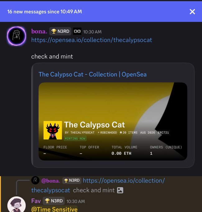 A Discord user named "bona" shares an OpenSea link to "The Calypso Cat" collection, showing it's currently minting with 20 items and only 1 unique owner at 0.00 ETH, aligning with the post about a Cats meta on Robinhood (RH) and a free-to-$60 runner.