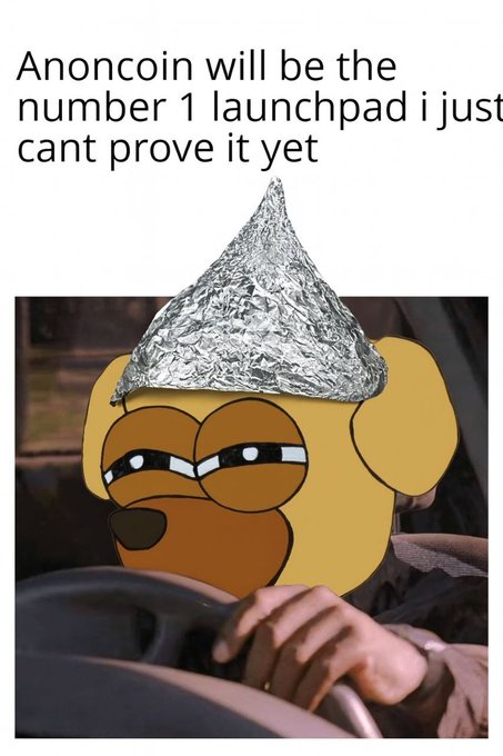 A meme featuring a cartoon dog with a tinfoil hat, with text reading 'Anoncoin will be the number 1 launchpad i just cant prove it yet'.