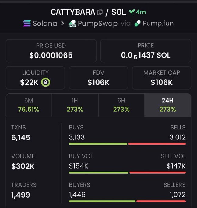 A trading dashboard for the CATTYBARA/SOL token on Solana via PumpSwap and Pump.fun, showing a price of $0.0001065, market cap of $106K, and 24-hour performance gains of 273% with 6,145 transactions.
