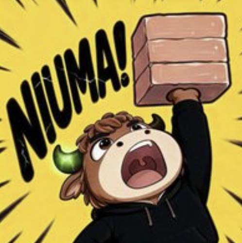 An illustration of a character in a hoodie holding up a stack of bricks with the text 'NIUMA!' displayed on a yellow background.