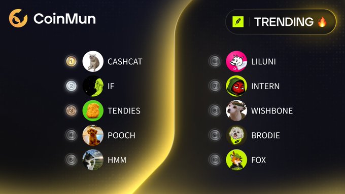 CoinMun's trending list showcasing the top 10 tokens, led by CASHCAT, IF, and TENDIES, with the remaining rankings including POOCH, HMM, LILUNI, INTERN, WISHBONE, BRODIE, and FOX.