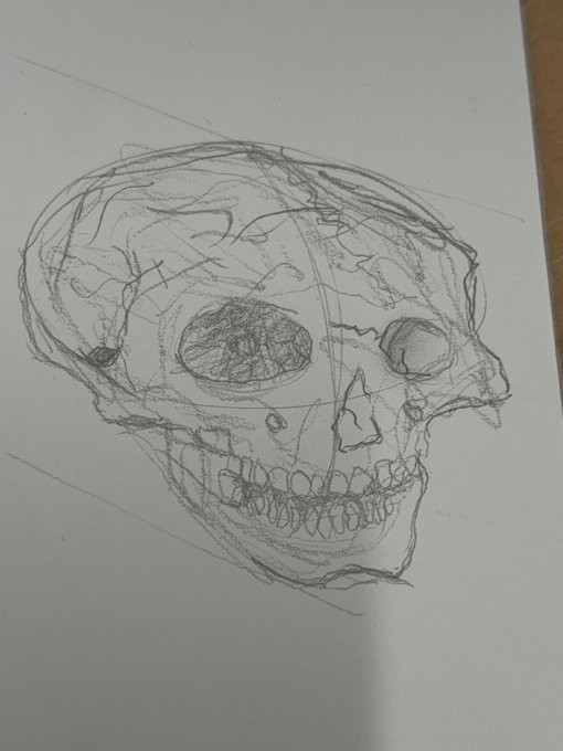 Pencil sketch drawing of a human skull on white paper, showing detailed shading around the eye sockets and teeth.
