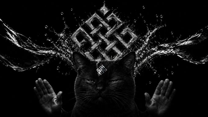 Stylized black and white image featuring a black cat with raised paws, water splashing dramatically on either side, and a metallic sacred geometry knot symbol floating above its head.