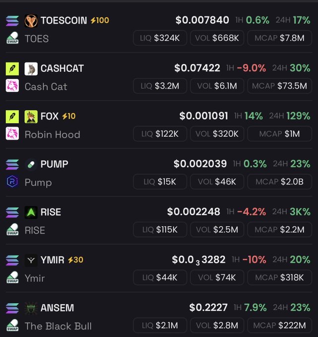 A cryptocurrency token list displaying various Solana tokens including TOESCOIN, CASHCAT, FOX, PUMP, RISE, YMIR, and ANSEM with their prices and market data.