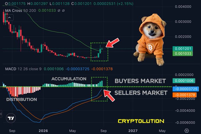 A cryptocurrency trading chart from CRYPTOLUTION showing candlestick data and MACD indicators, with labels for 'Accumulation', 'Buyers Market', 'Sellers Market', and 'Distribution', alongside a Shiba Inu dog wearing an orange hoodie.