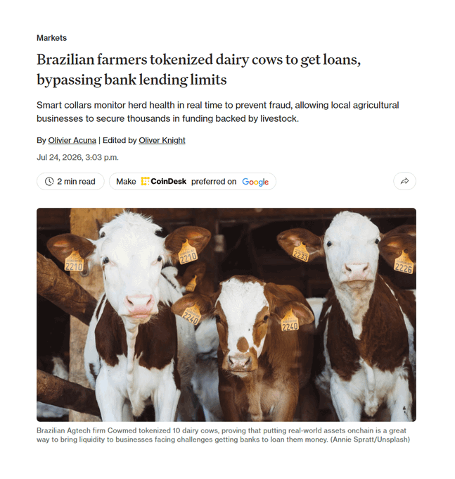 A news article from CoinDesk reports that Brazilian farmers tokenized dairy cows to secure loans, with Brazilian Agritech firm Cowmed tokenizing 10 dairy cows using smart collars tracked in real time, as shown in the image of brown and white tagged cows labeled with numbers like 2240, 2245, 2220, and 2246.
