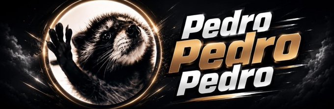 A raccoon presses its paw against a glowing circular portal beside the bold text "Pedro Pedro Pedro," capturing the viral meme branding of the $PEDRO memecoin on Solana.