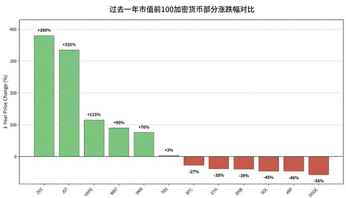 A Chinese chart titled '过去一年市值前100加密货币部分涨跌幅度对比' showing 1-year price change percentages, with ZEC (+380%) and LST (+335%) leading gains, and DOGE (-56%) showing the largest decline.