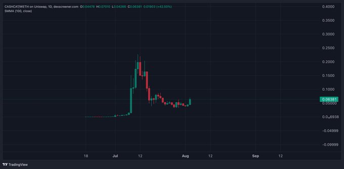 A TradingView candlestick chart for CASHCAT/USDT on Uniswap shows the token's price at 0.04473, with a notable vertical spike in early July reaching ~0.25 before pulling back and consolidating sideways near 0.05, supporting the poster's case for a potential bottom and major upside target of 500M–1B market cap.