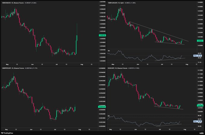 This image displays cryptocurrency charts for $SHIB, $FLOKI, $PEPE, and $DOGE, showing recent price movements and RSI indicators. The charts align with the post's mention of meme coins pumping and potential bull divergences.