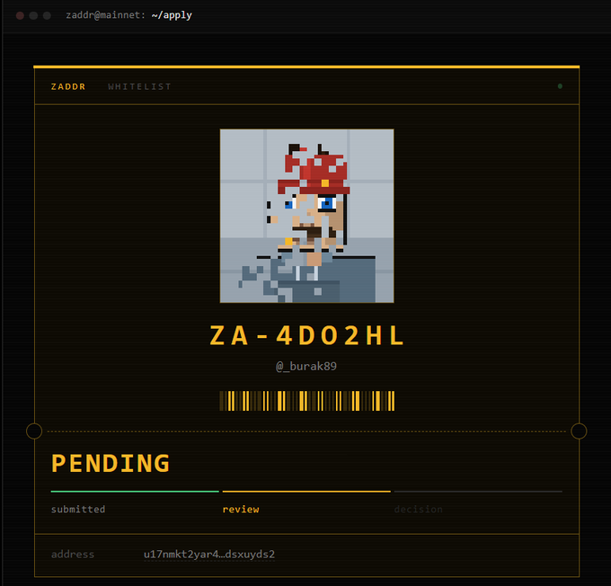 A screenshot of a ZADDR Whitelist application pending review for username '@_burak89', displaying a pixel art avatar and a user address 'u17nmkt2yar4_dsxuyds2'.
