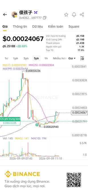 A Binance mobile app interface shows a meme coin's price chart with a current price of $0.00024067, up 20.69%, alongside moving averages, volume stats, and a Vietnamese interface.