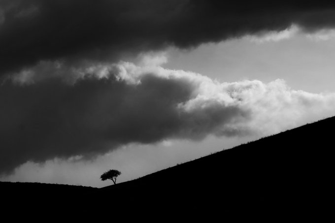 A black and white landscape photograph shows dramatic clouds rolling over a silhouetted hillside with a single small tree.