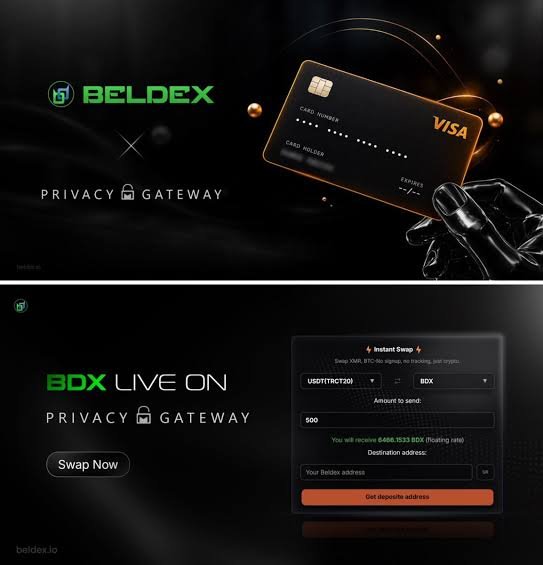 Two advertisements for BELDEX cryptocurrency are displayed; the top shows a 'PRIVACY GATEWAY' with a Visa card being held by a robotic hand, while the bottom advertises 'BOX LIVE ON PRIVACY GATEWAY' with a swap interface converting USDT to BDX.