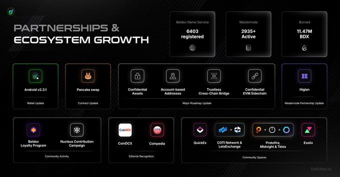 A presentation slide titled 'PARTNERSHIPS & ECOSYSTEM GROWTH' showing Beldex metrics including 6403 Beldex Name Service registrations, 2935+ active MasterNodes, and 11.47M BDX burned, along with various partnership logos.