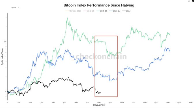 A line chart titled 'Bitcoin Index Performance Since Halving' from Checkonchain showing the cycle index value over days since halving across Genesis 2012, 2012-18, 2016-20, 2020-24, and a projected 2024* cycle, with a red rectangle highlighting a particular time period.
