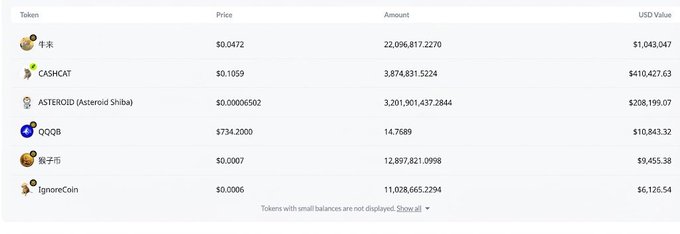 A crypto portfolio dashboard showing token holdings and USD values, including 秋卡 ($1,043,047), CASHCAT ($410,427.63), ASTEROID (Asteroid Shiba) ($208,199.07), QQQB ($10,843.32), 数字币 ($9,455.38), and IgnoreCoin ($6,126.54).