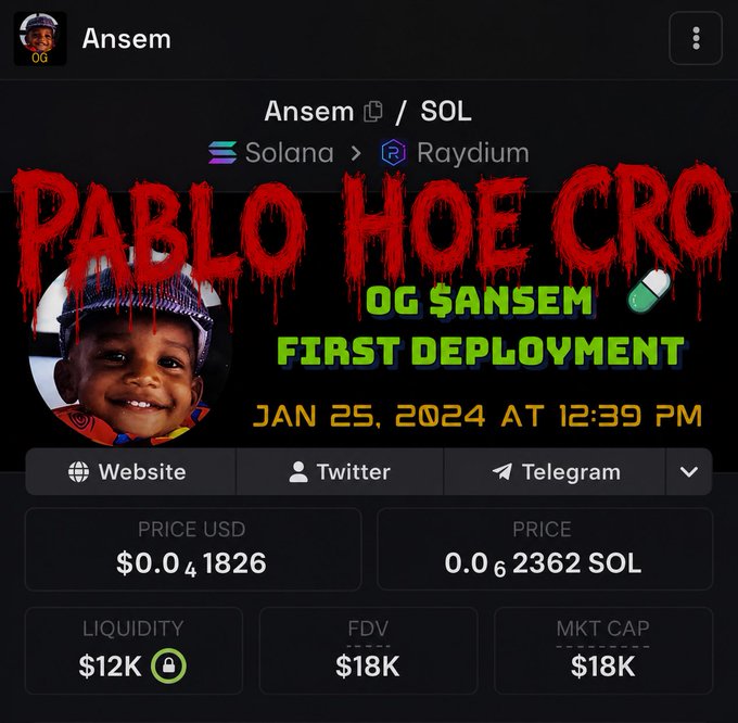 A meme coin page displays 'PABLO HOE CRO' with 'OG $ANSEM FIRST DEPLOYMENT JAN 25, 2024' text and token metrics on Solana/Raydium.
