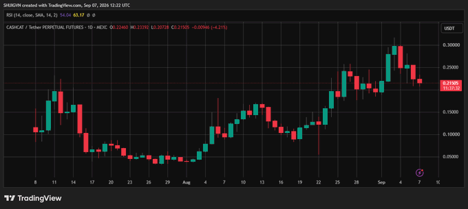 A candlestick chart from TradingView displaying CASH.CAT / Tether PERPETUAL FUTURES with an RSI of 14, showing price action from late July through early September.