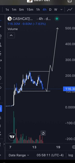 A 4-hour candlestick chart of CASHCAT/USDT on Cash Cat shows a price of $116.30, down 7.63% (-$9.60), with hand-drawn projections indicating a breakout above the current consolidation range toward $400–$500, supporting the post's claim of a potential second-leg rally entry.